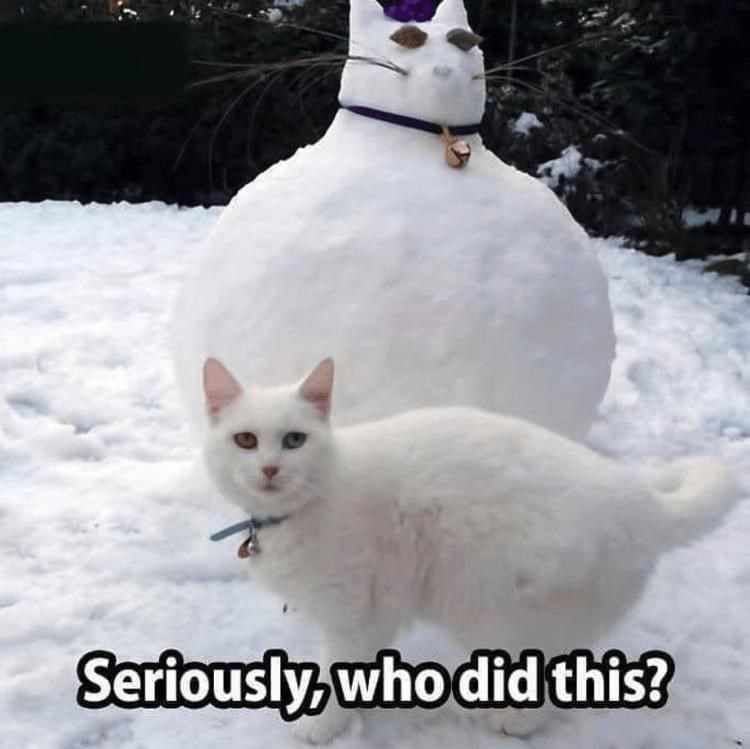 seriously-who-did-this