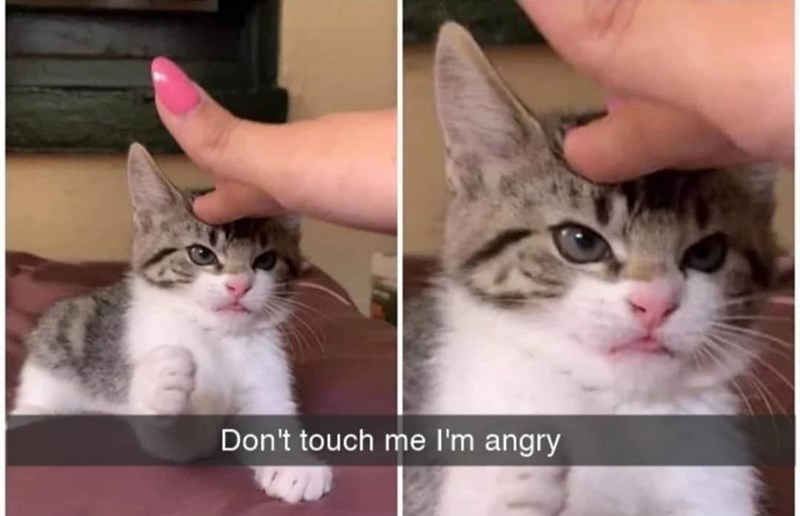 dont-touch-angry