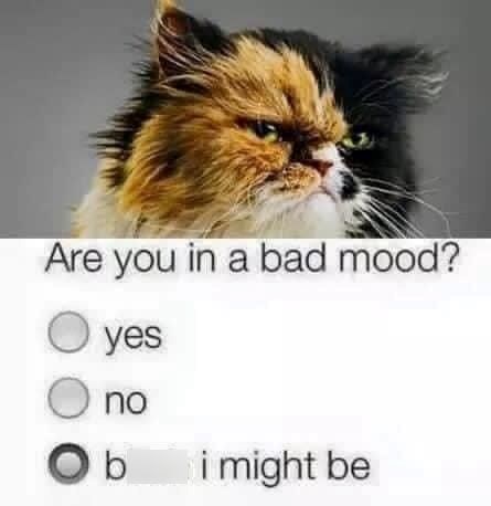 are-bad-mood-yes-no-bitch-might-be