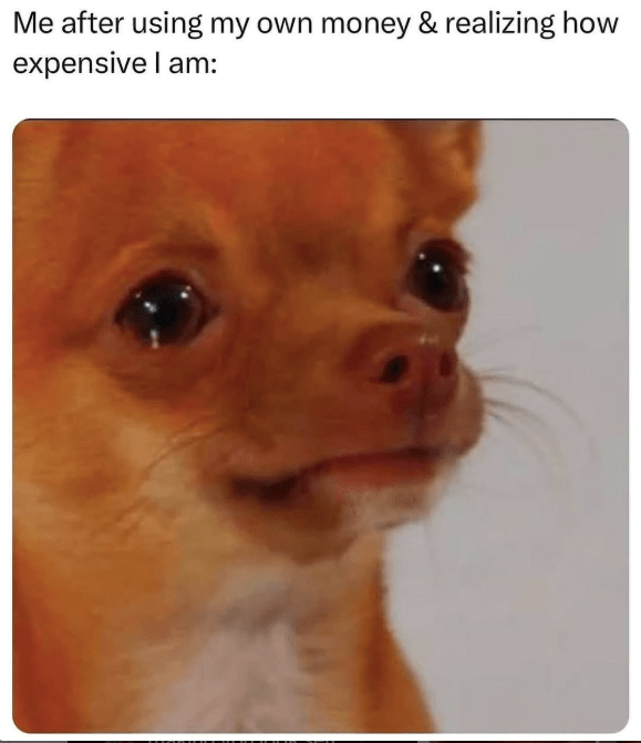 after-using-my-own-money-realizing-expensive-am