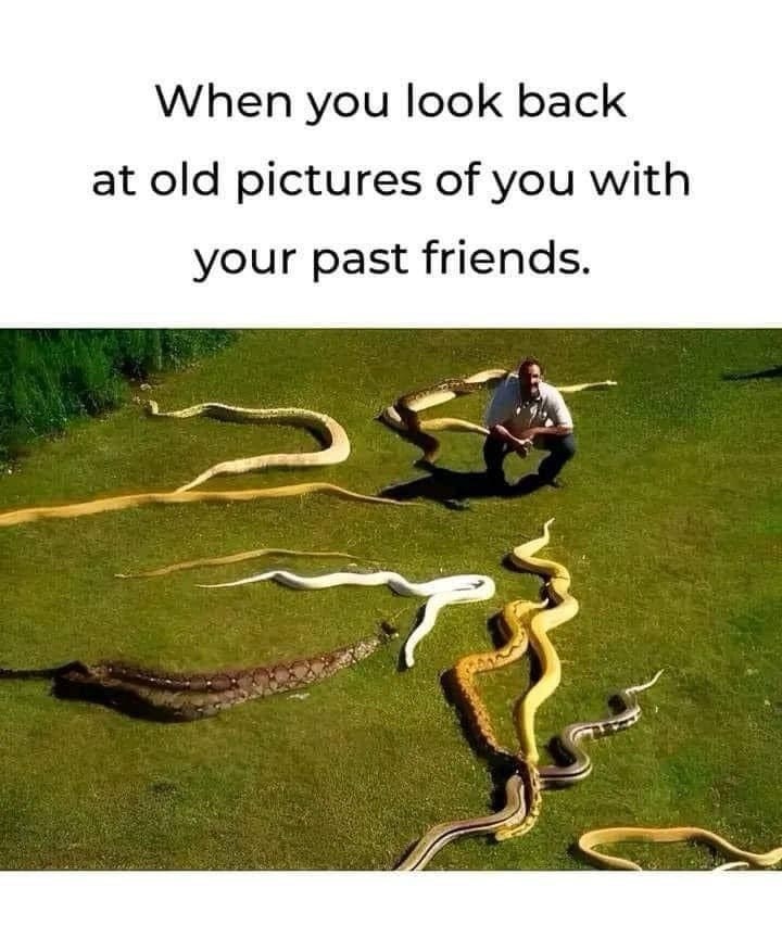 look-back-at-old-pictures-with-past-friends