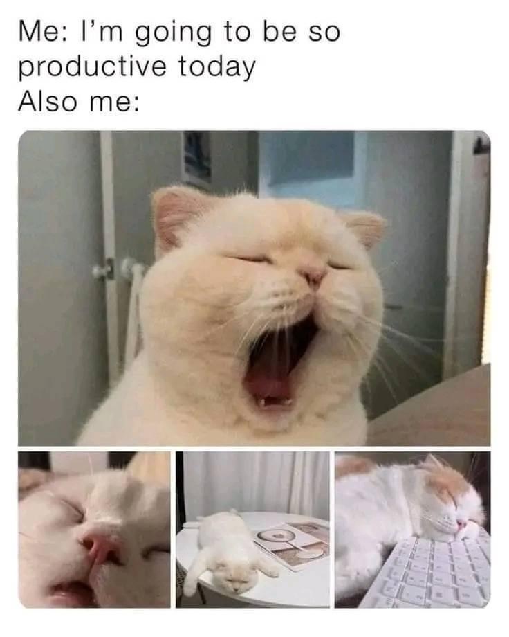 going-be-so-productive-today-also