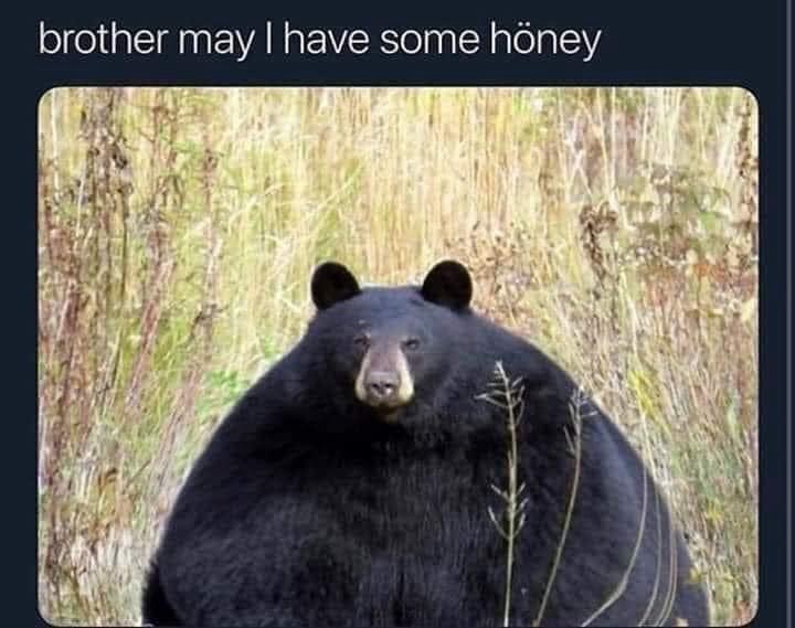 brother-may-have-some-honey
