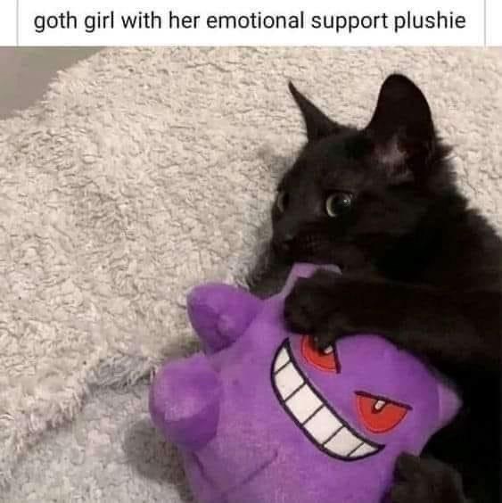 goth-girl-with-her-emotional-support-plushie