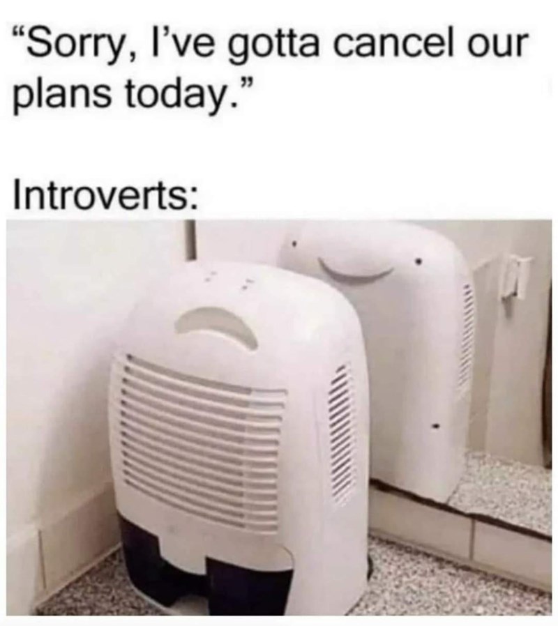 sorry-gotta-cancel-our-plans-today-introverts