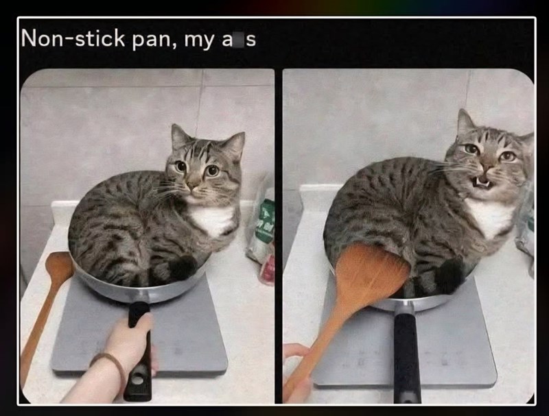 non-stick-pan-my-s