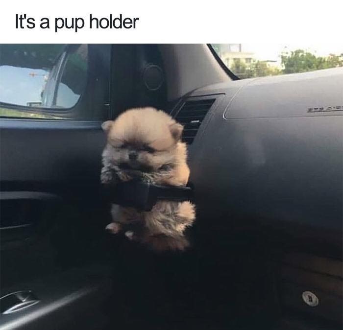 s-pup-holder