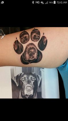 028cfc83620bc0dcebe0816679cffa23--old-photos-dog-paw-tattoos.jpg