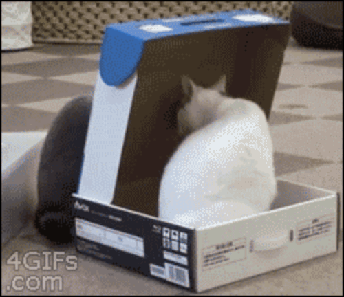 december-26-is-boxing-day