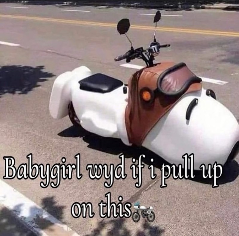 babygirl-wyd-if-pull-up-on-this