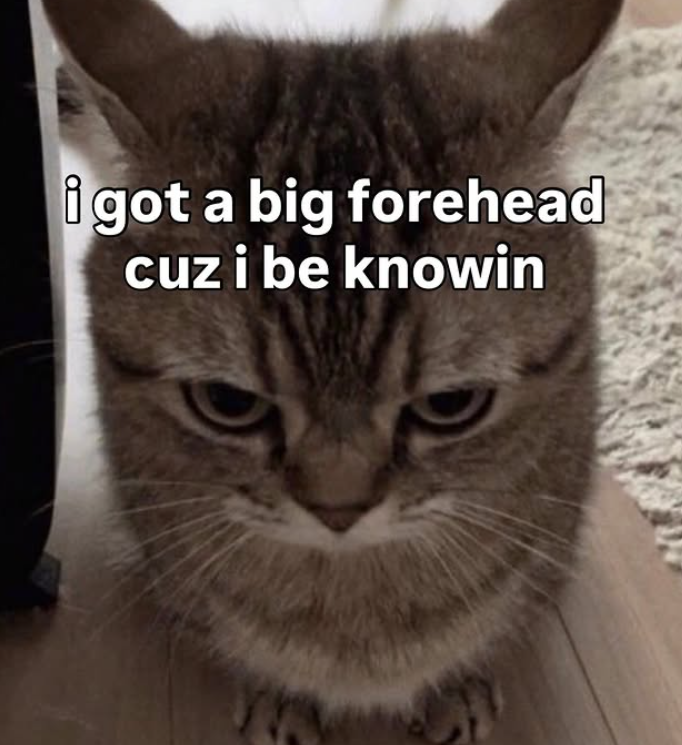 got-big-forehead-cuz-be-knowin