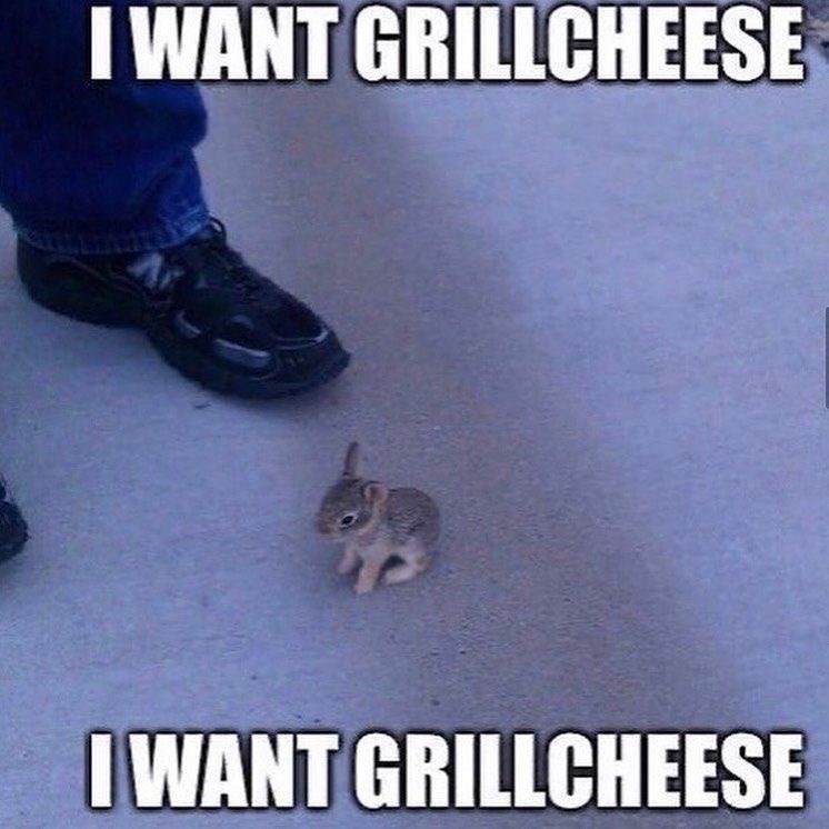want-grillcheese-want-grillcheese