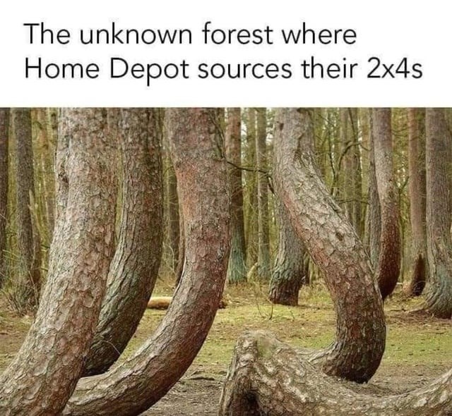 unknown-forest-where-home-depot-sources-their-2x4s
