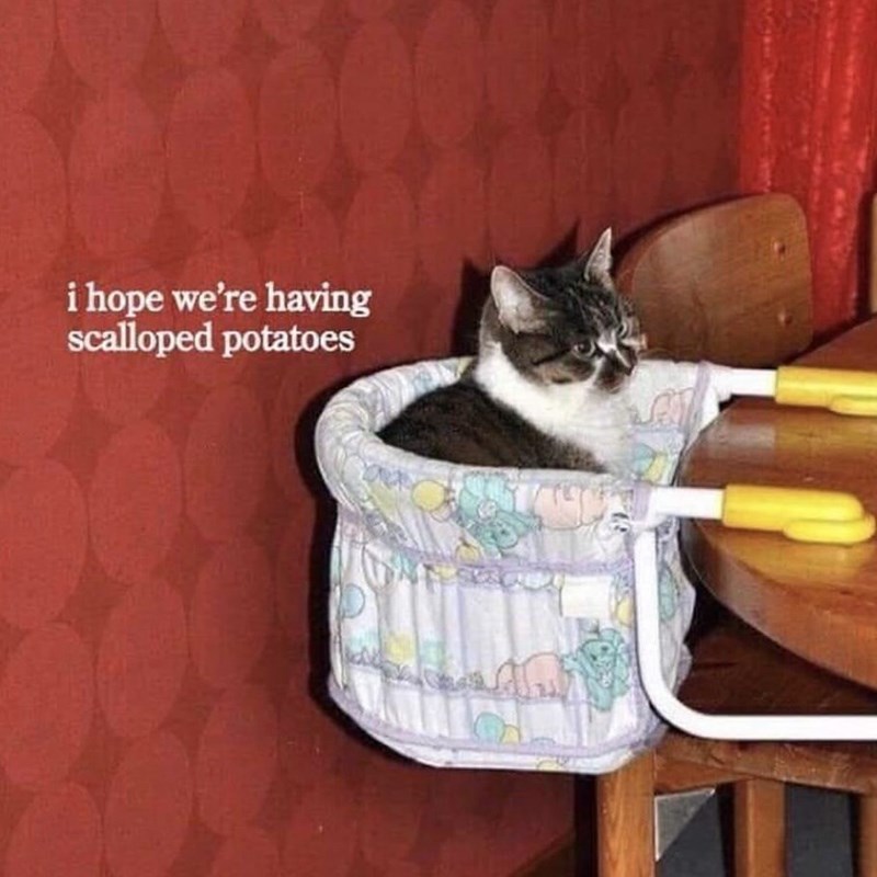 hope-having-scalloped-potatoes