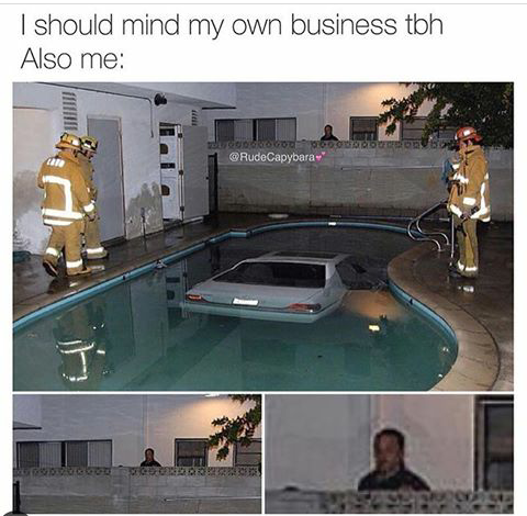 should-mind-my-own-business-tbh-also-rudecapybara