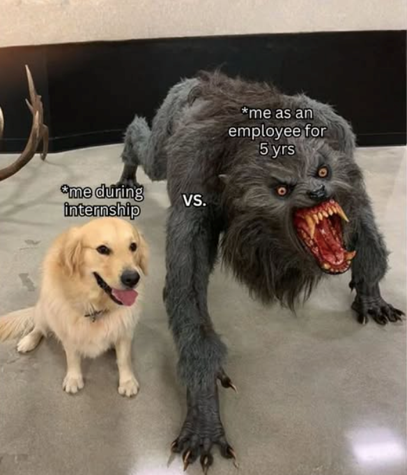 during-internship-vs-as-an-employee-5-yrs