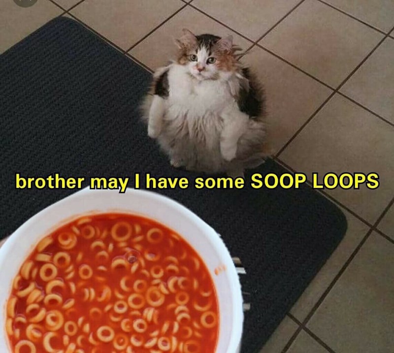 brother-may-have-some-soop-loops