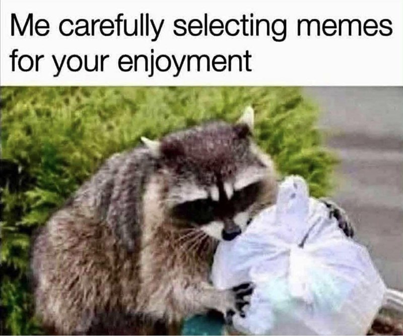 carefully-selecting-memes-enjoyment