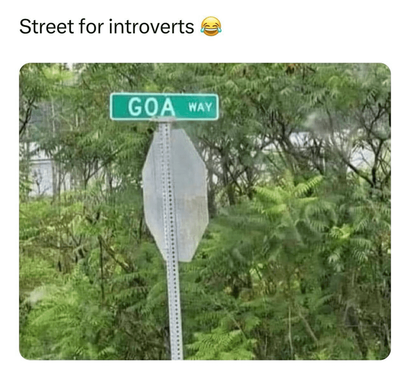 street-introverts-goa-way
