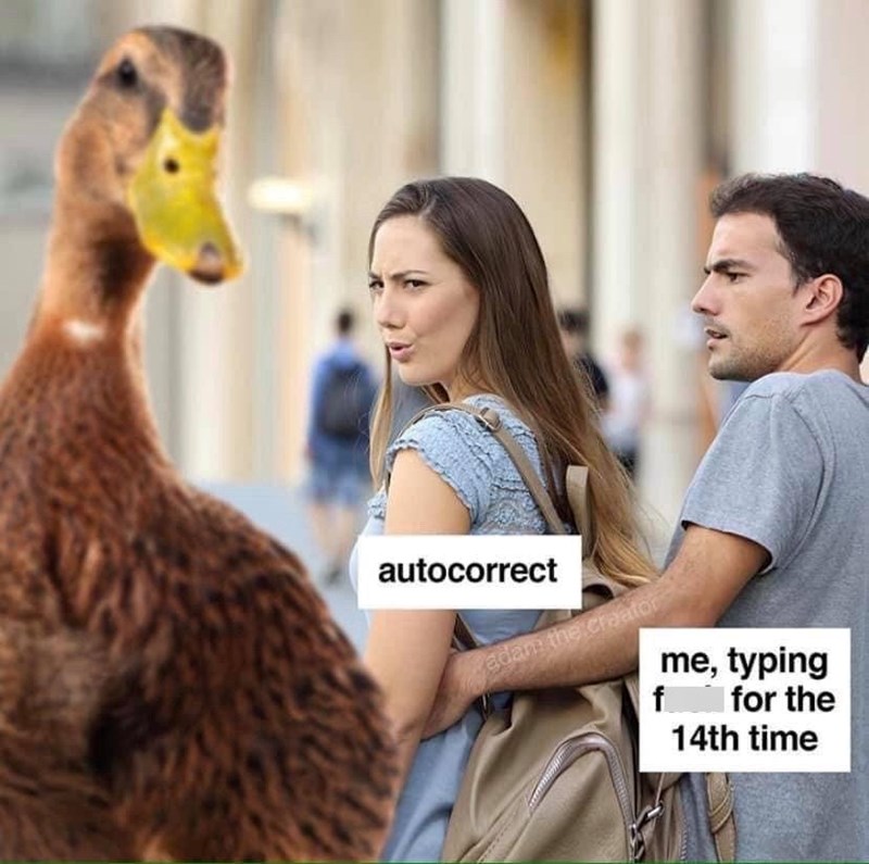 autocorrect-adam-creator-typing-ffor-14th-time