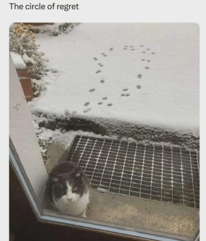 circle-regret