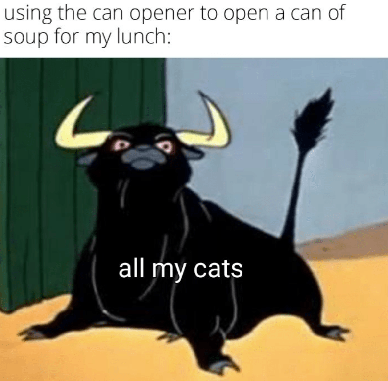 using-can-opener-open-can-soup-my-lunch-all-my-cats