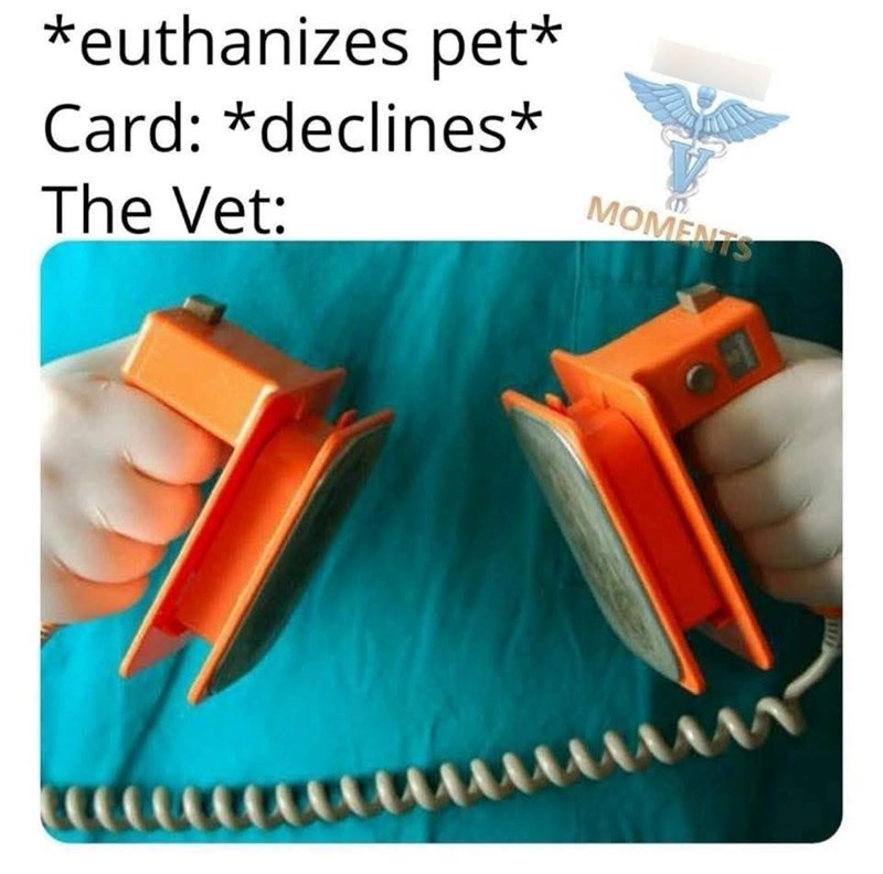 euthanizes-pet-card-declines-vet-moments
