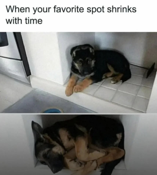 favorite-spot-shrinks-with-time