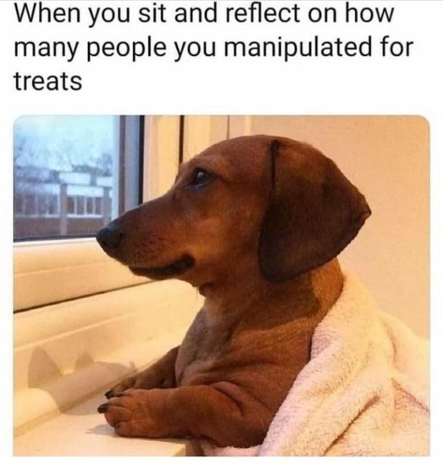 sit-and-reflect-on-many-people-manipulated-treats
