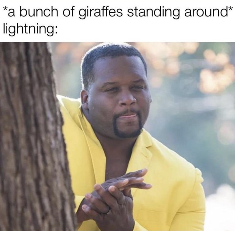 bunch-giraffes-standing-around-lightning