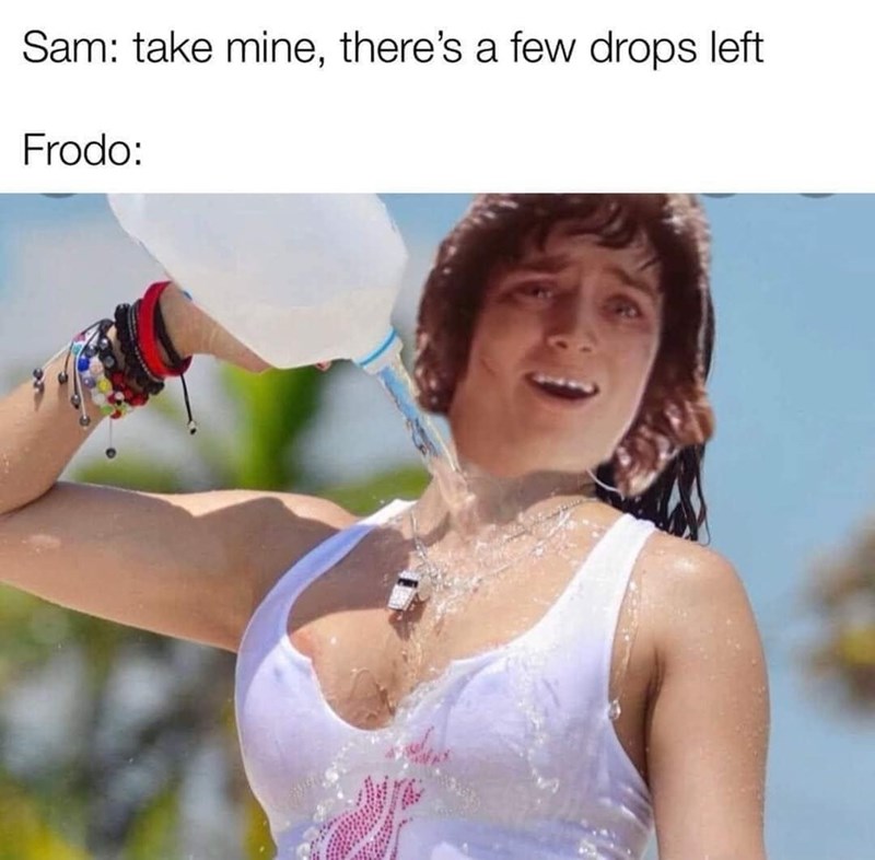 sam-take-mine-theres-few-drops-left-frodo