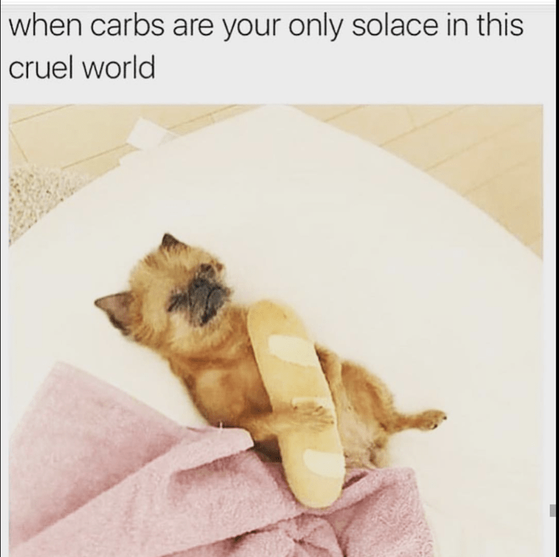 carbs-are-only-solace-this-cruel-world