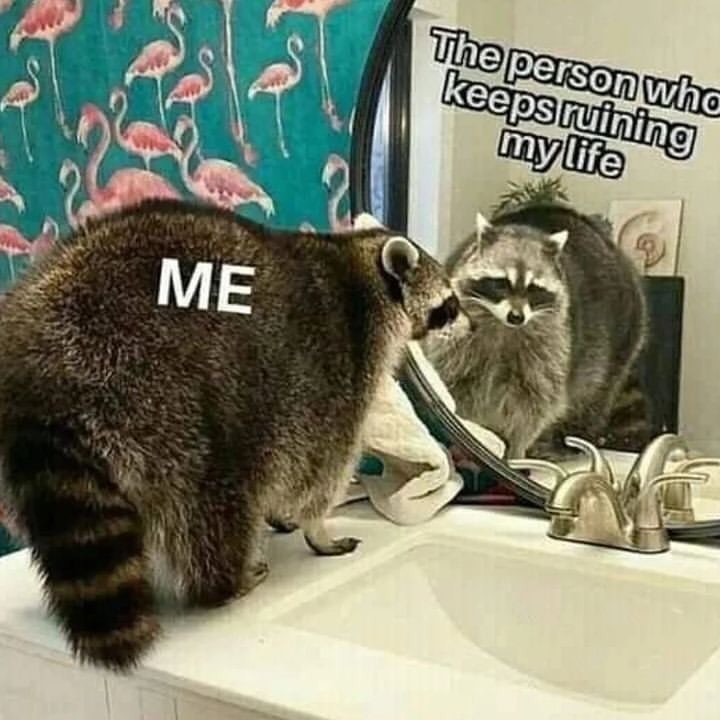 person-who-keeps-ruining-my-life