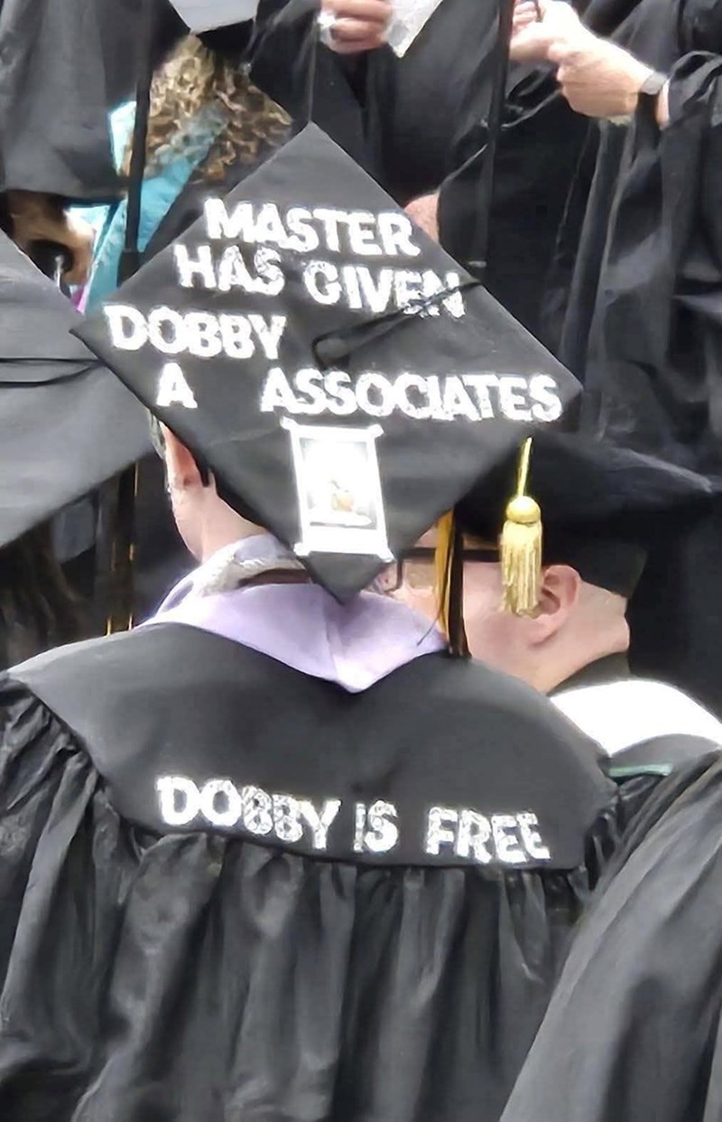 master-has-given-dobby-associates-dobby-is-free