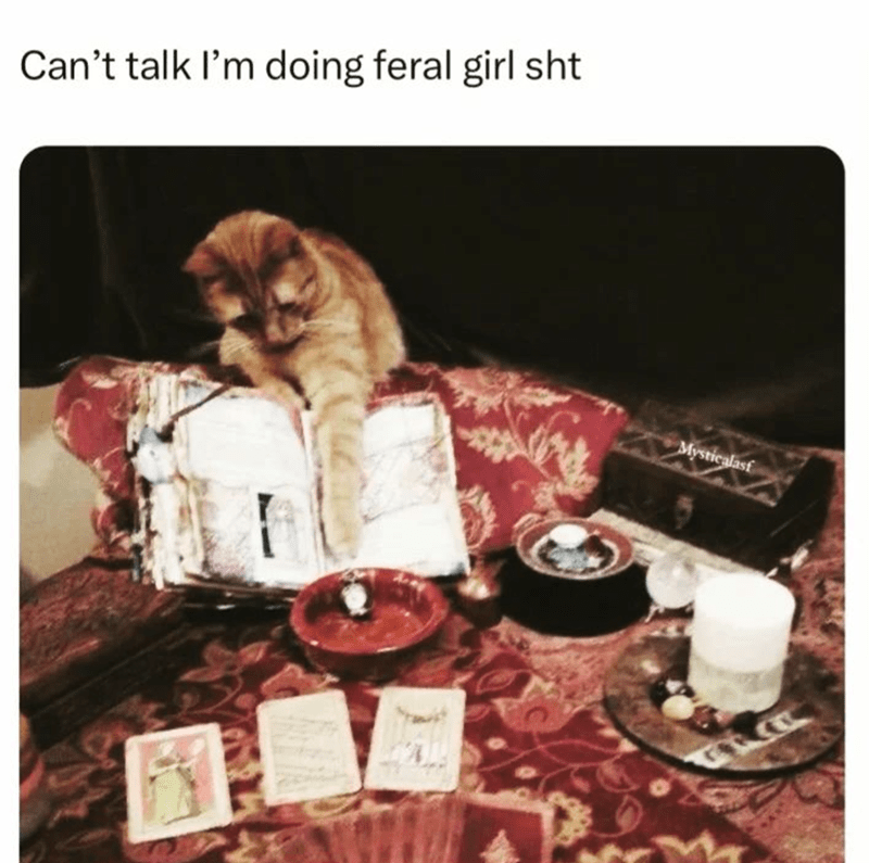 cant-talk-doing-feral-girl-sht-mysticalasf