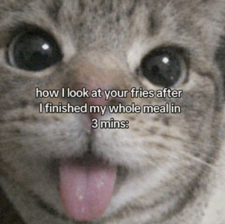 look-at-fries-after-finished-my-whole-meal-3-mins