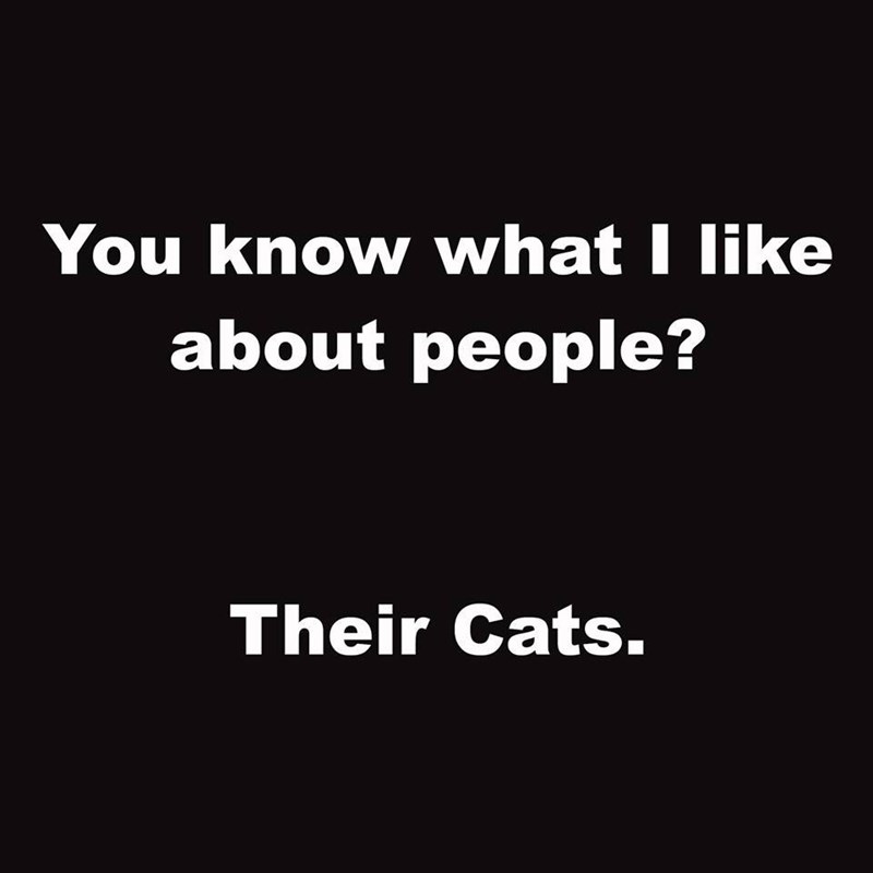 know-like-about-people-their-cats