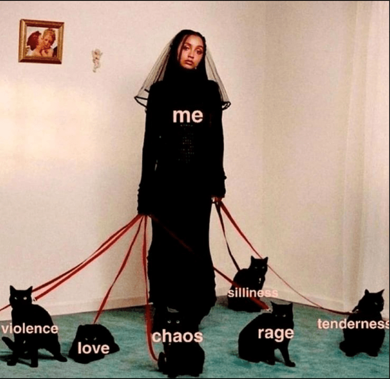 4-silliness-tenderness-violence-chaos-rage-love