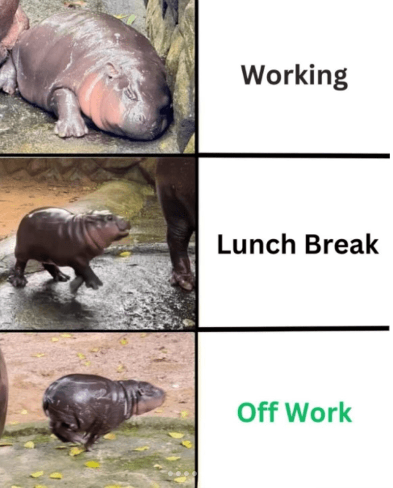 working-lunch-break-off-work