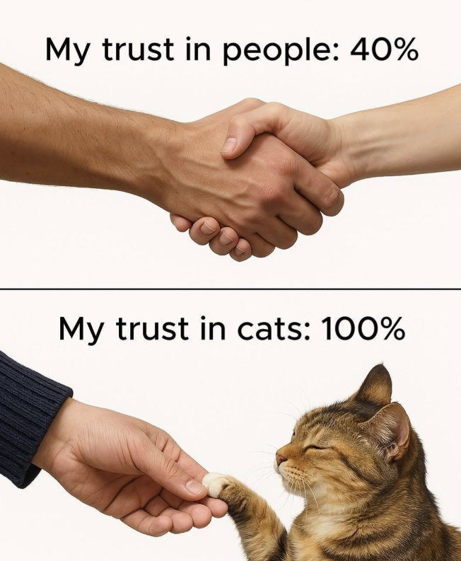 my-trust-people-40-my-trust-cats-100