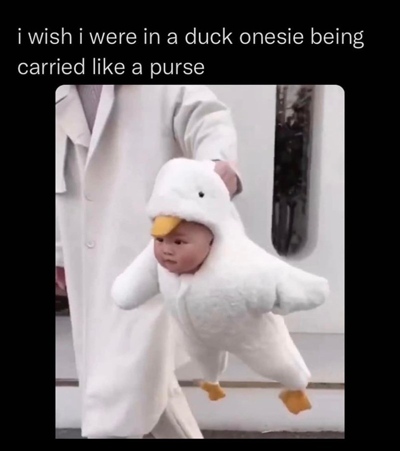 wish-were-duck-onesie-being-carried-like-purse