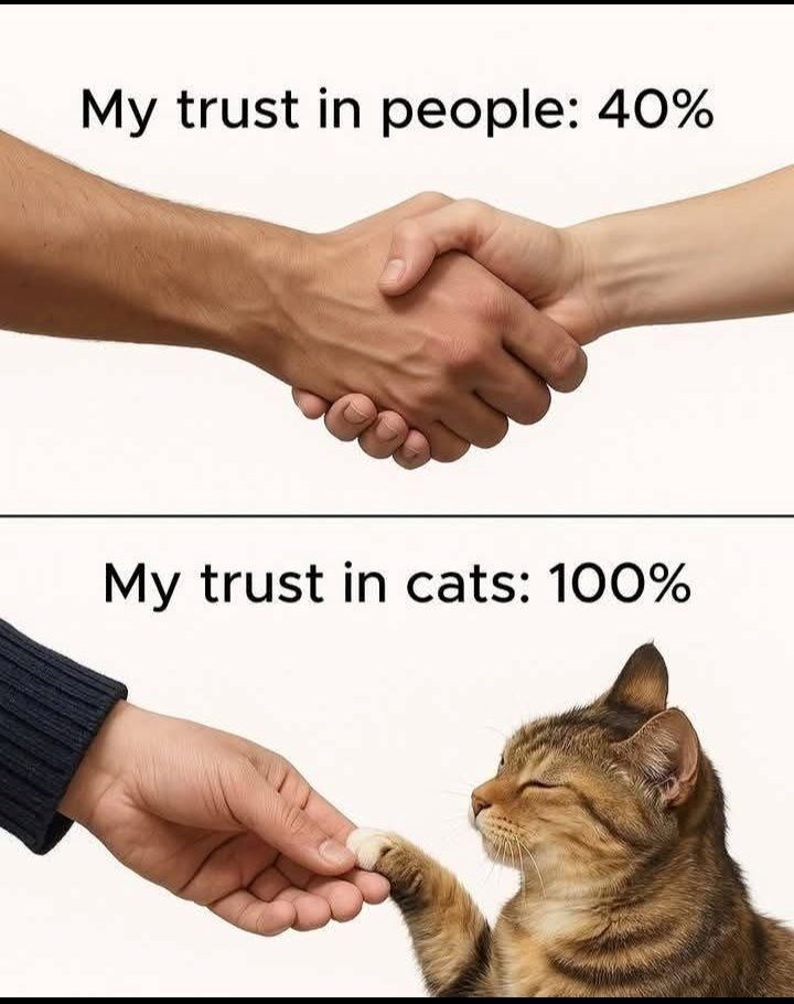 my-trust-people-40-my-trust-cats-100