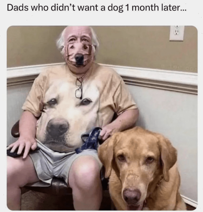 dads-who-didnt-want-dog-1-month-later
