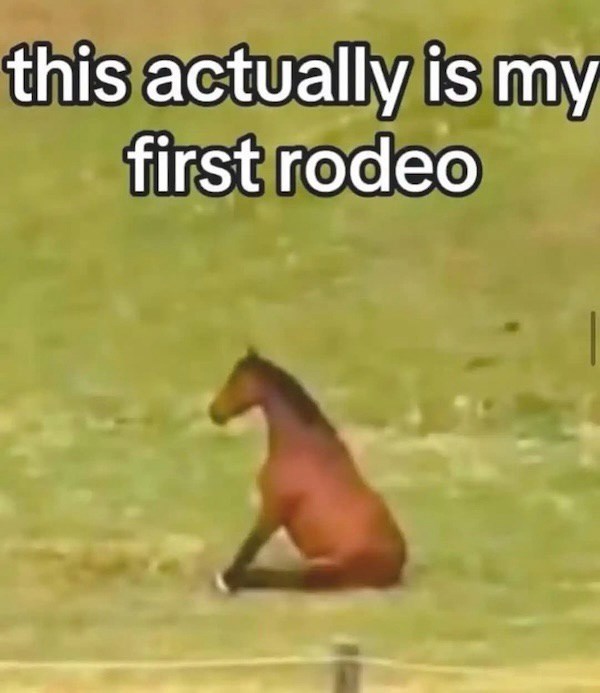 this-actually-is-my-first-rodeo