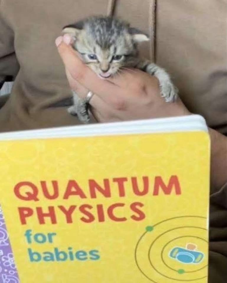 quantum-physics-babies