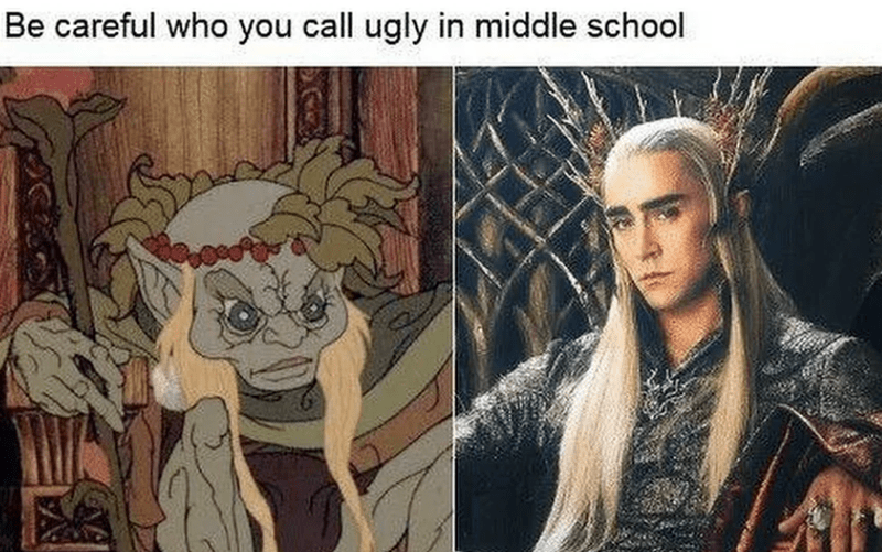 be-careful-who-call-ugly-middle-school