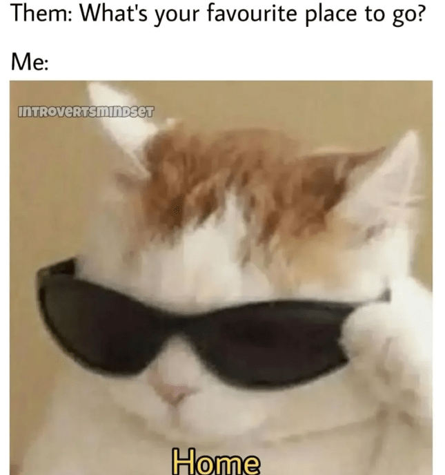 them-s-favourite-place-go-introvertsmindset-home
