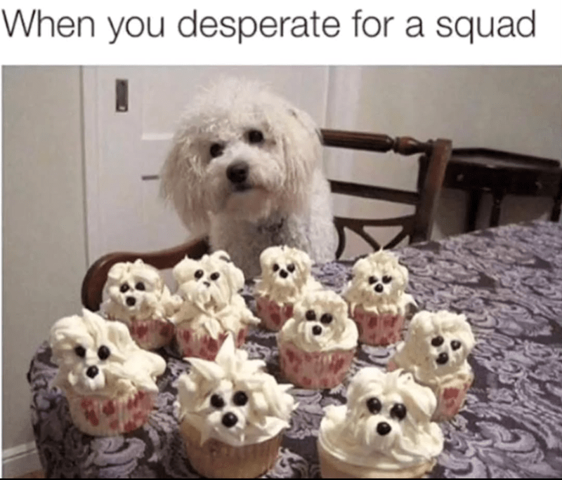 desperate-squad