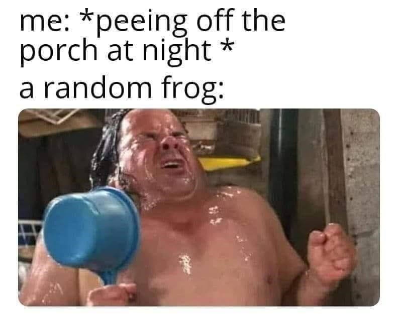 peeing-off-porch-at-night-random-frog