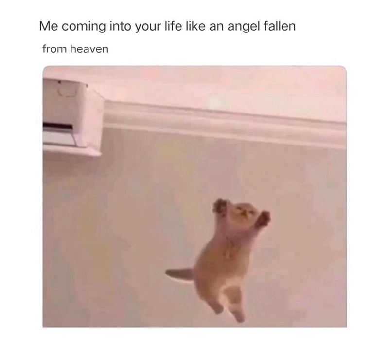 coming-into-life-like-an-angel-fallen-heaven